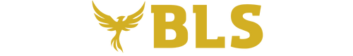 BLS Giyim Moda Tekstil Logo